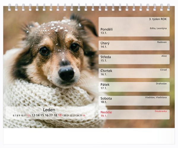 Tydenní. malé číslice, bez okénka