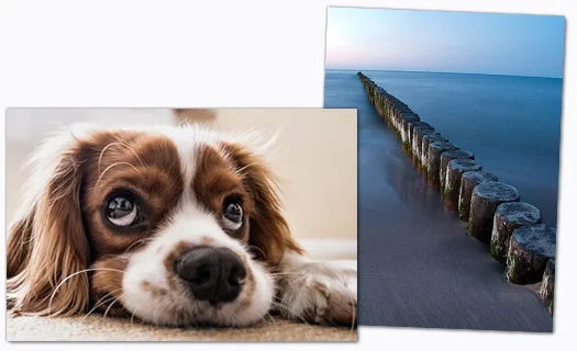 Fotografie na kompozitní desce