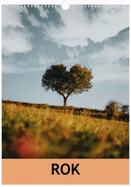 Oranžová struktura