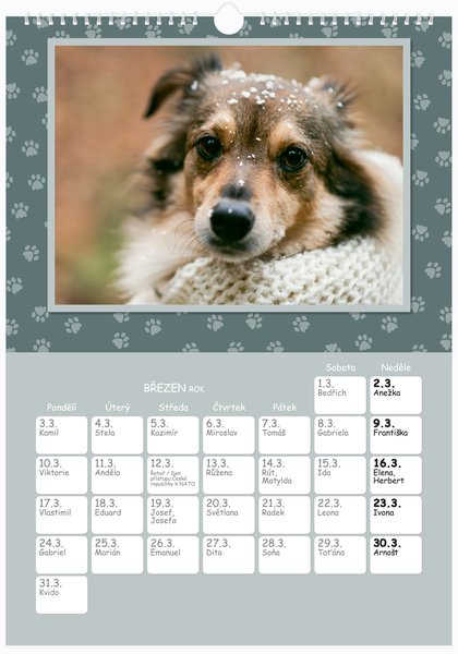 Pejskové, se jmény - Na výšku