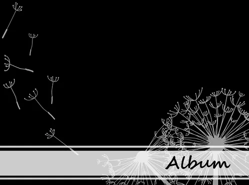 Pampeliška, černá